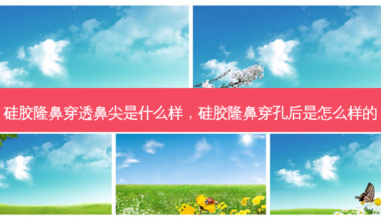 硅胶隆鼻穿透鼻尖是什么样,硅胶隆鼻穿孔后是怎么样的-第1张图片-南山整形网 硅胶隆鼻穿透鼻尖是什么样,硅胶隆鼻穿孔后是怎么样的-第1张图片-南山整形网