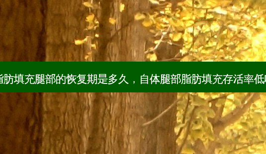 自体脂肪填充腿部的恢复期是多久,自体腿部脂肪填充 *** 低吗多少-第1张图片-南山整形网 自体脂肪填充腿部的恢复期是多久,自体腿部脂肪填充 *** 低吗多少-第1张图片-南山整形网