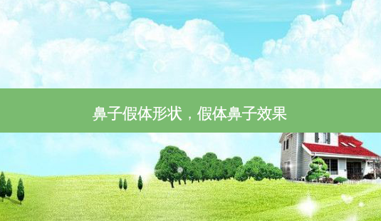 鼻子假体形状,假体鼻子效果-第1张图片-南山整形网 鼻子假体形状,假体鼻子效果-第1张图片-南山整形网