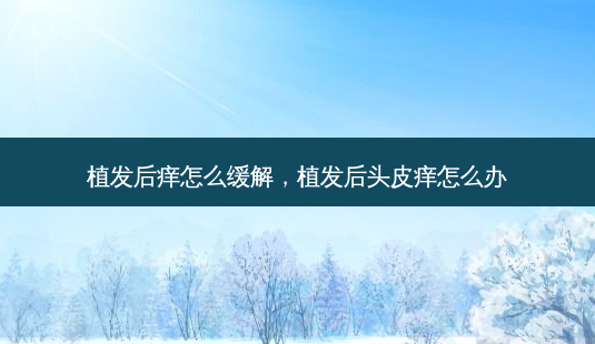 植发后痒怎么缓解,植发后头皮痒怎么办-第1张图片-南山整形网 植发后痒怎么缓解,植发后头皮痒怎么办-第1张图片-南山整形网