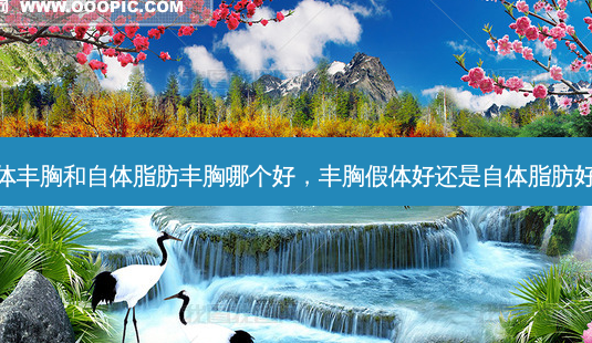 假体丰胸和自体脂肪丰胸哪个好,丰胸假体好还是自体脂肪好呢-第1张图片-南山整形网 假体丰胸和自体脂肪丰胸哪个好,丰胸假体好还是自体脂肪好呢-第1张图片-南山整形网
