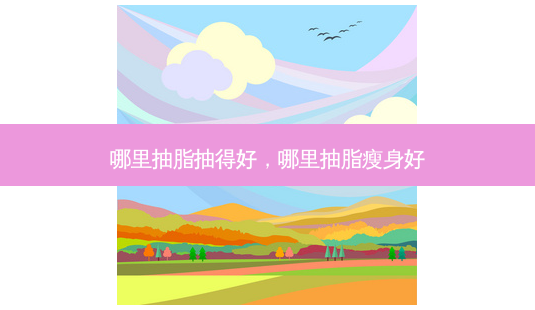 哪里抽脂抽得好,哪里抽脂瘦身好-第1张图片-南山整形网 哪里抽脂抽得好,哪里抽脂瘦身好-第1张图片-南山整形网