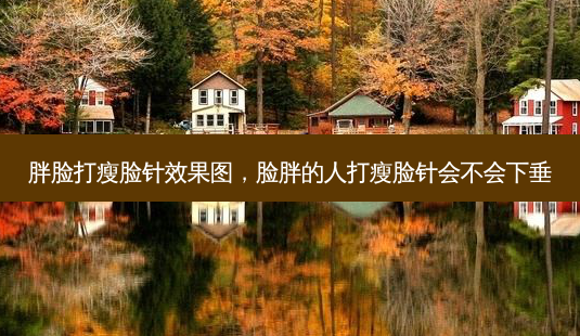 胖脸打瘦脸针效果图,脸胖的人打瘦脸针会不会下垂-第1张图片-南山整形网 胖脸打瘦脸针效果图,脸胖的人打瘦脸针会不会下垂-第1张图片-南山整形网