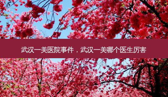 武汉一美医院事件，武汉一美哪个医生厉害-第1张图片-南山整形网