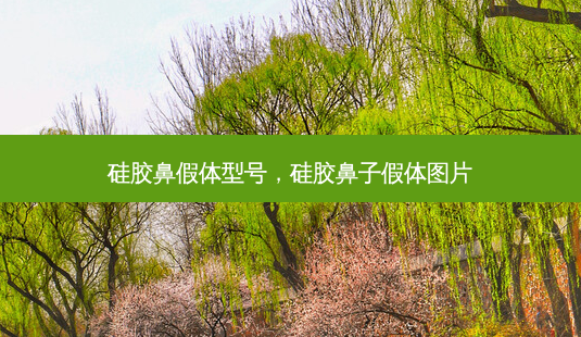 硅胶鼻假体型号,硅胶鼻子假体图片-第1张图片-南山整形网 硅胶鼻假体型号,硅胶鼻子假体图片-第1张图片-南山整形网