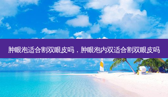 肿眼泡适合割双眼皮吗,肿眼泡内双适合割双眼皮吗-第1张图片-南山整形网 肿眼泡适合割双眼皮吗,肿眼泡内双适合割双眼皮吗-第1张图片-南山整形网