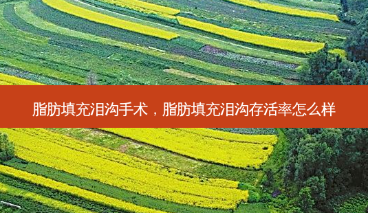 脂肪填充泪沟手术,脂肪填充泪沟 *** 怎么样-第1张图片-南山整形网 脂肪填充泪沟手术,脂肪填充泪沟 *** 怎么样-第1张图片-南山整形网