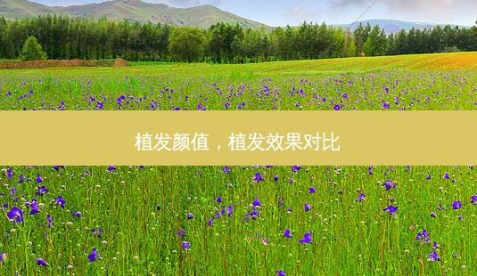植发颜值,植发效果对比-第1张图片-南山整形网 植发颜值,植发效果对比-第1张图片-南山整形网
