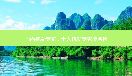 国内植发专家,十大植发专家排名榜-第1张图片-南山整形网 国内植发专家,十大植发专家排名榜-第1张图片-南山整形网