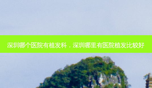 深圳哪个医院有植发科,深圳哪里有医院植发比较好-第1张图片-南山整形网 深圳哪个医院有植发科,深圳哪里有医院植发比较好-第1张图片-南山整形网