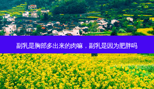 副乳是胸部多出来的肉嘛,副乳是因为肥胖吗-第1张图片-南山整形网 副乳是胸部多出来的肉嘛,副乳是因为肥胖吗-第1张图片-南山整形网