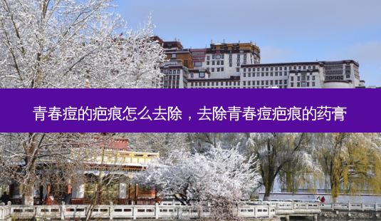 青春痘的疤痕怎么去除,去除青春痘疤痕的药膏-第1张图片-南山整形网 青春痘的疤痕怎么去除,去除青春痘疤痕的药膏-第1张图片-南山整形网