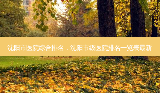 沈阳市医院综合排名,沈阳市级医院排名一览表最新-第1张图片-南山整形网 沈阳市医院综合排名,沈阳市级医院排名一览表最新-第1张图片-南山整形网