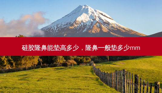 硅胶隆鼻能垫高多少,隆鼻一般垫多少mm-第1张图片-南山整形网 硅胶隆鼻能垫高多少,隆鼻一般垫多少mm-第1张图片-南山整形网