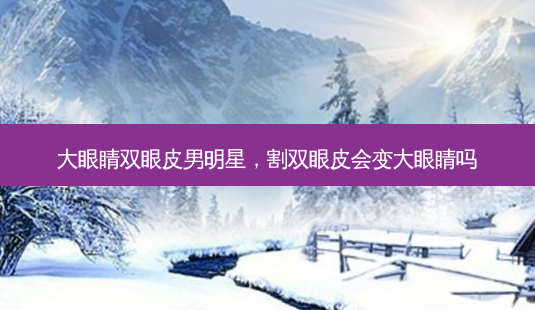 大眼睛双眼皮男明星,割双眼皮会变大眼睛吗-第1张图片-南山整形网 大眼睛双眼皮男明星,割双眼皮会变大眼睛吗-第1张图片-南山整形网