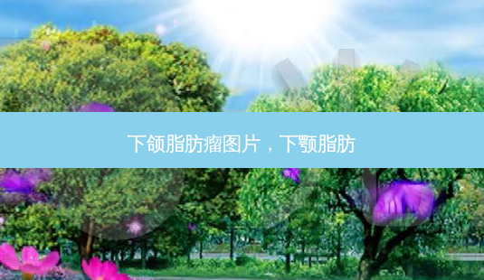 下颌脂肪瘤图片,下颚脂肪-第1张图片-南山整形网 下颌脂肪瘤图片,下颚脂肪-第1张图片-南山整形网
