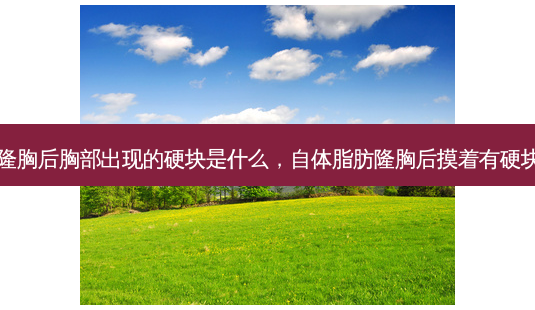 自体脂肪隆胸后胸部出现的硬块是什么,自体脂肪隆胸后摸着有硬块怎么回事-第1张图片-南山整形网 自体脂肪隆胸后胸部出现的硬块是什么,自体脂肪隆胸后摸着有硬块怎么回事-第1张图片-南山整形网