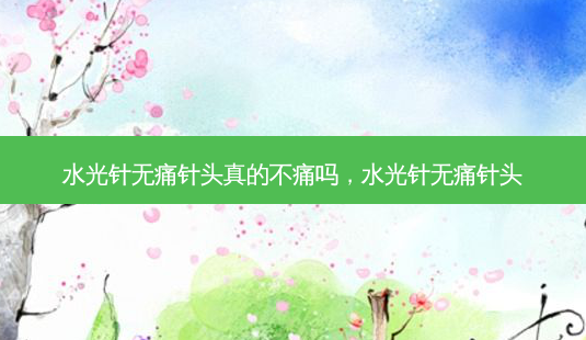 水光针 *** 针头真的不痛吗,水光针 *** 针头-第1张图片-南山整形网 水光针 *** 针头真的不痛吗,水光针 *** 针头-第1张图片-南山整形网