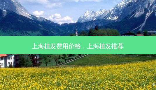 上海植发费用价格,上海植发推荐-第1张图片-南山整形网 上海植发费用价格,上海植发推荐-第1张图片-南山整形网