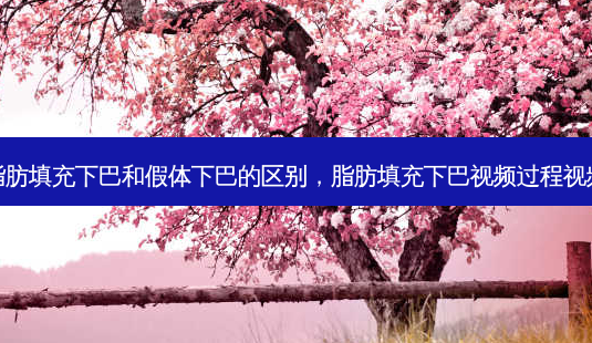 脂肪填充下巴和假体下巴的区别,脂肪填充下巴视频过程视频-第1张图片-南山整形网 脂肪填充下巴和假体下巴的区别,脂肪填充下巴视频过程视频-第1张图片-南山整形网