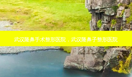 武汉隆鼻手术整形医院,武汉隆鼻子整形医院-第1张图片-南山整形网 武汉隆鼻手术整形医院,武汉隆鼻子整形医院-第1张图片-南山整形网
