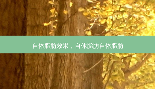 自体脂肪效果,自体脂肪自体脂肪-第1张图片-南山整形网 自体脂肪效果,自体脂肪自体脂肪-第1张图片-南山整形网