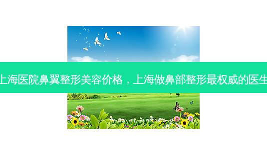 上海医院鼻翼整形美容价格,上海做鼻部整形 *** 的医生-第1张图片-南山整形网 上海医院鼻翼整形美容价格,上海做鼻部整形 *** 的医生-第1张图片-南山整形网