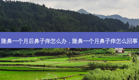 隆鼻一个月后鼻子痒怎么办,隆鼻一个月鼻子痒怎么回事-第1张图片-南山整形网 隆鼻一个月后鼻子痒怎么办,隆鼻一个月鼻子痒怎么回事-第1张图片-南山整形网