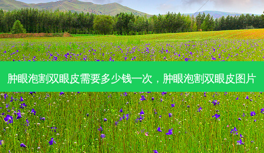 肿眼泡割双眼皮需要多少钱一次,肿眼泡割双眼皮图片-第1张图片-南山整形网 肿眼泡割双眼皮需要多少钱一次,肿眼泡割双眼皮图片-第1张图片-南山整形网
