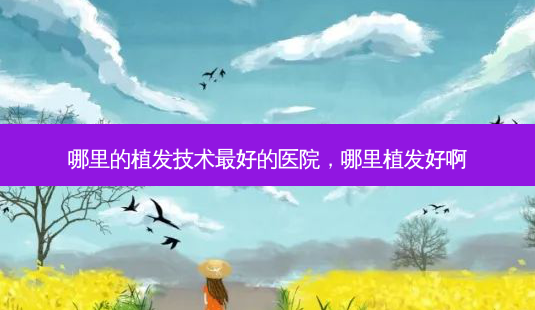 哪里的植发技术 *** 的医院,哪里植发好啊-第1张图片-南山整形网 哪里的植发技术 *** 的医院,哪里植发好啊-第1张图片-南山整形网