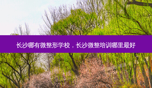 长沙哪有微整形学校,长沙微整培训哪里 *** -第1张图片-南山整形网 长沙哪有微整形学校,长沙微整培训哪里 *** -第1张图片-南山整形网