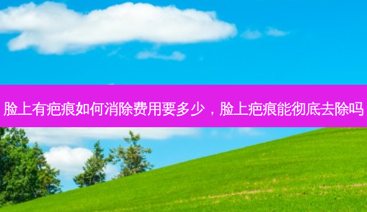 脸上有疤痕如何消除费用要多少,脸上疤痕能彻底去除吗-第1张图片-南山整形网 脸上有疤痕如何消除费用要多少,脸上疤痕能彻底去除吗-第1张图片-南山整形网