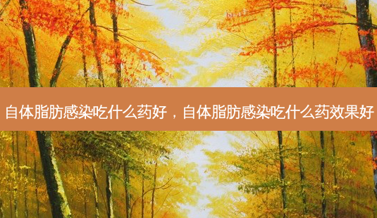 自体脂肪感染吃什么药好,自体脂肪感染吃什么药效果好-第1张图片-南山整形网 自体脂肪感染吃什么药好,自体脂肪感染吃什么药效果好-第1张图片-南山整形网