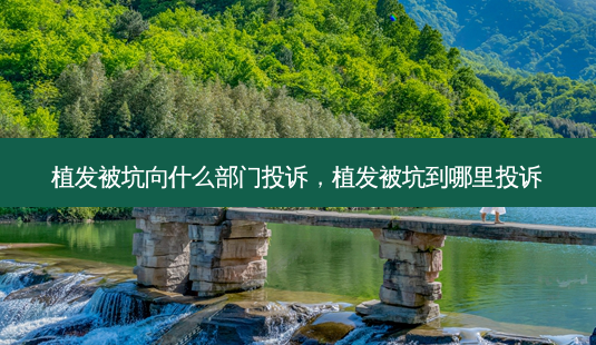 植发被坑向什么部门投诉,植发被坑到哪里投诉-第1张图片-南山整形网 植发被坑向什么部门投诉,植发被坑到哪里投诉-第1张图片-南山整形网