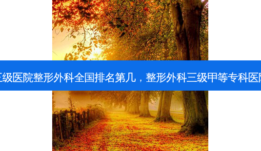 三级医院整形外科全国排名第几,整形外科三级甲等专科医院-第1张图片-南山整形网 三级医院整形外科全国排名第几,整形外科三级甲等专科医院-第1张图片-南山整形网