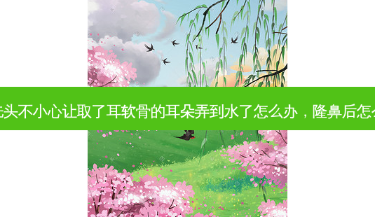 隆鼻后洗头不小心让取了耳软骨的耳朵弄到水了怎么办,隆鼻后怎么洗头发-第1张图片-南山整形网 隆鼻后洗头不小心让取了耳软骨的耳朵弄到水了怎么办,隆鼻后怎么洗头发-第1张图片-南山整形网