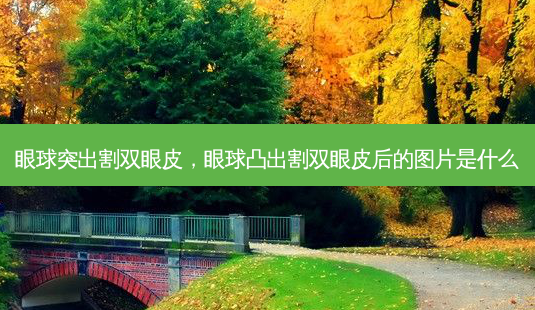 眼球突出割双眼皮,眼球凸出割双眼皮后的图片是什么-第1张图片-南山整形网 眼球突出割双眼皮,眼球凸出割双眼皮后的图片是什么-第1张图片-南山整形网