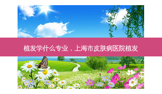 植发学什么专业,上海市皮肤病医院植发-第1张图片-南山整形网 植发学什么专业,上海市皮肤病医院植发-第1张图片-南山整形网