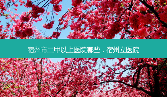 宿州市二甲以上医院哪些,宿州立医院-第1张图片-南山整形网 宿州市二甲以上医院哪些,宿州立医院-第1张图片-南山整形网