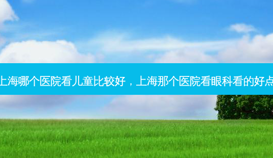 上海哪个医院看儿童比较好,上海那个医院看眼科看的好点-第1张图片-南山整形网 上海哪个医院看儿童比较好,上海那个医院看眼科看的好点-第1张图片-南山整形网