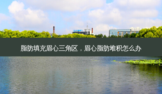 脂肪填充眉心三角区,眉心脂肪堆积怎么办-第1张图片-南山整形网 脂肪填充眉心三角区,眉心脂肪堆积怎么办-第1张图片-南山整形网
