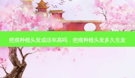 疤痕种植头发成活率高吗,疤痕种植头发多久生发-第1张图片-南山整形网 疤痕种植头发成活率高吗,疤痕种植头发多久生发-第1张图片-南山整形网