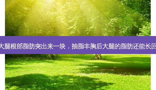 抽脂大腿根部脂肪突出来一块,抽脂丰胸后大腿的脂肪还能长回来吗-第1张图片-南山整形网 抽脂大腿根部脂肪突出来一块,抽脂丰胸后大腿的脂肪还能长回来吗-第1张图片-南山整形网