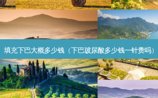 填充下巴大概多少钱（下巴玻尿酸多少钱一针贵吗）