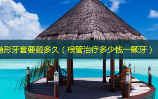 隐形牙套要戴多久（根管治疗多少钱一颗牙）