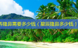弄隆鼻需要多少钱（星辰隆鼻多少钱）