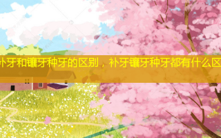 补牙和镶牙种牙的区别，补牙镶牙种牙都有什么区别