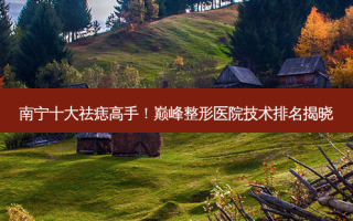 南宁十大祛痣高手！巅峰整形医院技术排名揭晓
