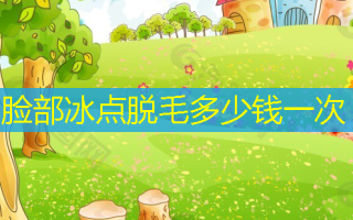 脸部冰点脱毛多少钱一次