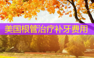 美国根管治疗补牙费用